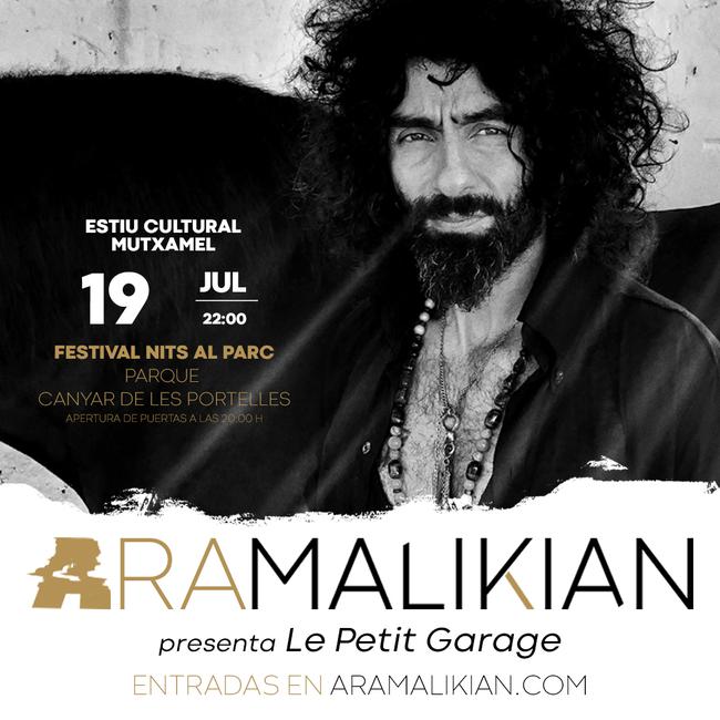 Ara Malikian