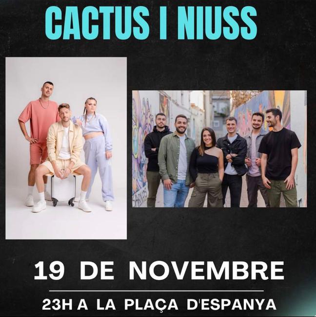 Cactus + Niuss