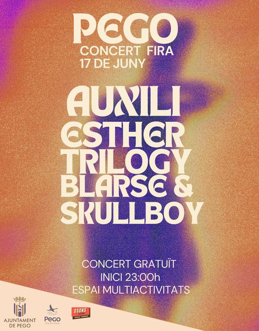 Concert Fira Pego 2023